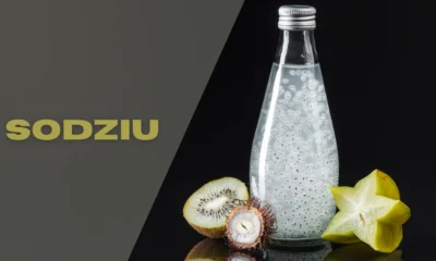 Sodziu: A Journey Through Its Flavors and History