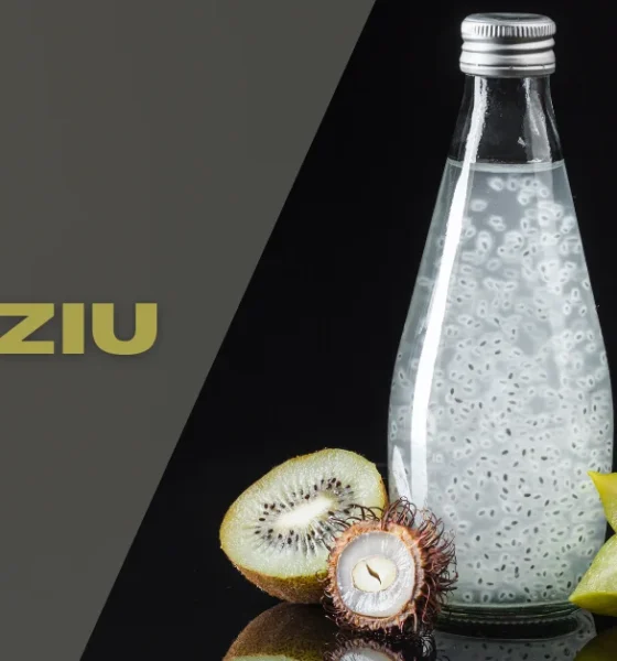 Sodziu: A Journey Through Its Flavors and History