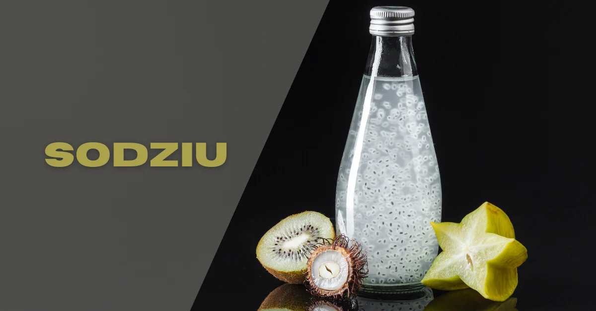 Sodziu: A Journey Through Its Flavors and History