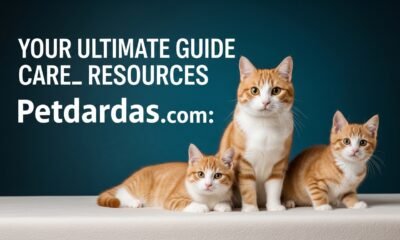 Petdardas com: Your Ultimate Guide to Pet Care and Resources