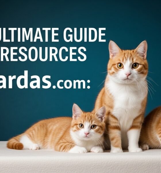 Petdardas com: Your Ultimate Guide to Pet Care and Resources